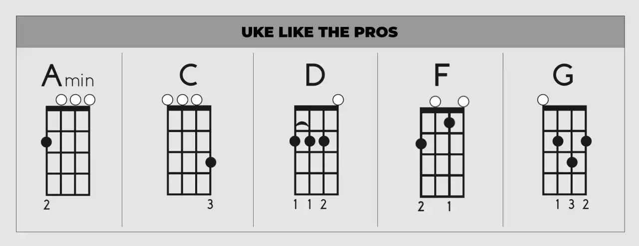 Diagramy akordów na ukulele: Amin, C, D, F, G. Podpowiedź, jak grać na ukulele.